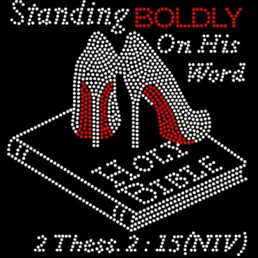 160418Standing_Boldly_Holy_Bible__01808.1461288641.380.380