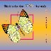 1118-1037080987