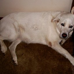 Picture 099.jpg