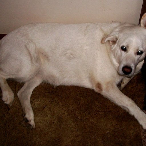 Picture 099