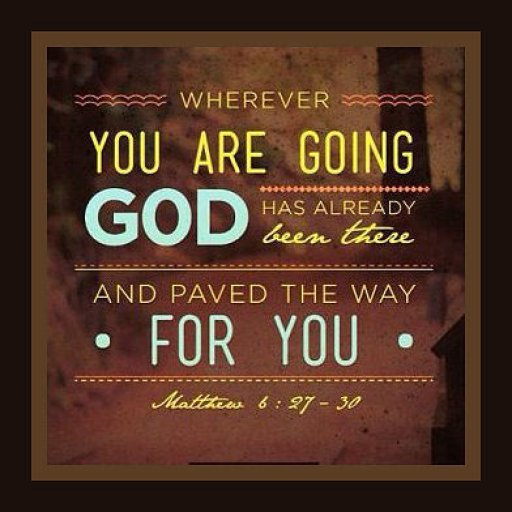 th_14448278_845008062302577_8484715018598744064_n