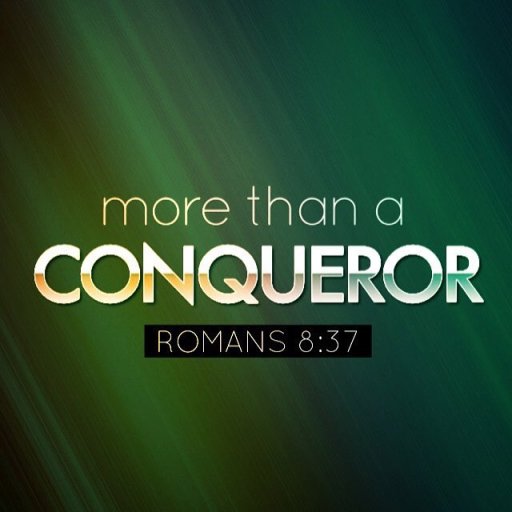 th_14473964_317220281977778_5623768269723795456_n