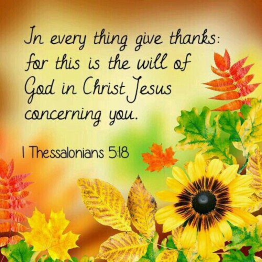 89db7c0dba217104c33d70d44bcfa5c6