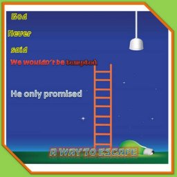 1136-1037080943.jpeg