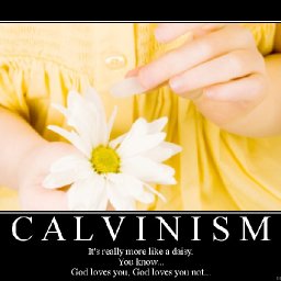 calvinism-poster.jpg