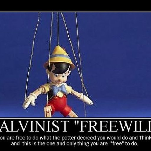 Calvinist Freewill