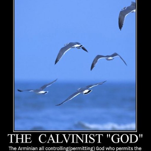 Calvinist God