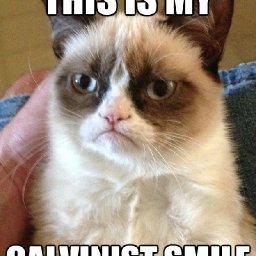 calvinist-cat.jpg
