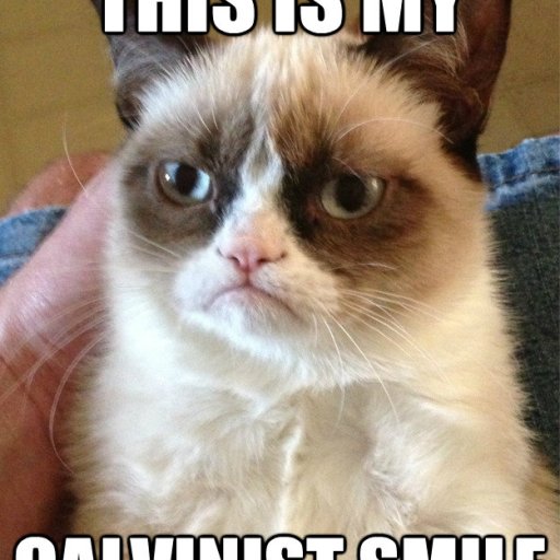 calvinist-cat