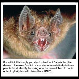 Goblin-Shark.jpg