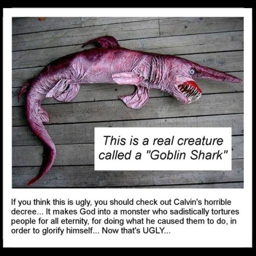 Shark