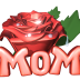 33367651