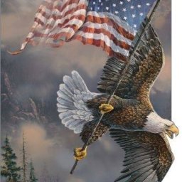 13532956_1186810298047543_8011189336248885199_n - Copy - Copy.jpg