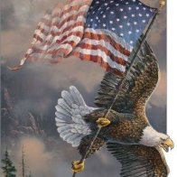 13532956_1186810298047543_8011189336248885199_n - Copy - Copy.jpg