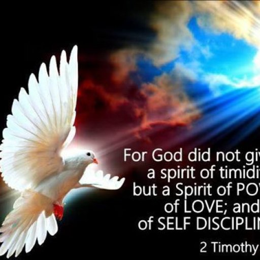 1098393_473730196086119_431274211_n