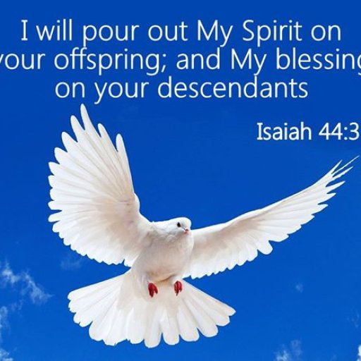 1497221_674925692570563_201481932_n