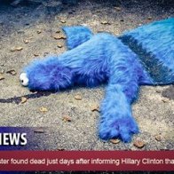 tumblr_od6wvypH3h1r54qfqo1_500