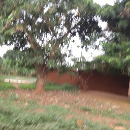 20170619_152446.jpg