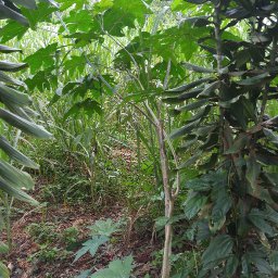 20170619_153138.jpg