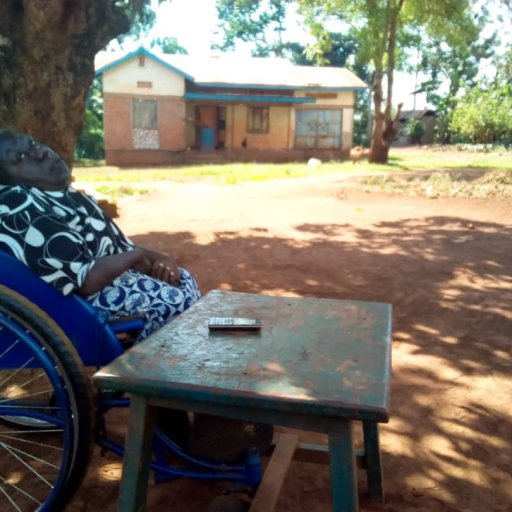 Kamiigo Disabled (1)