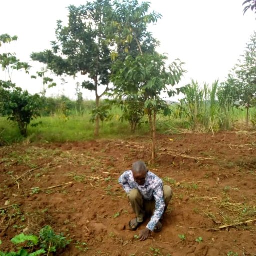 Kamiigo Disabled (4)