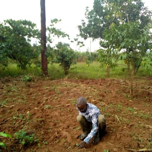 Kamiigo Disabled (7)