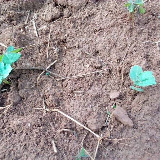 Kamiigo Disabled (8)