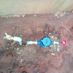 Kamiigo Disabled (9).jpeg