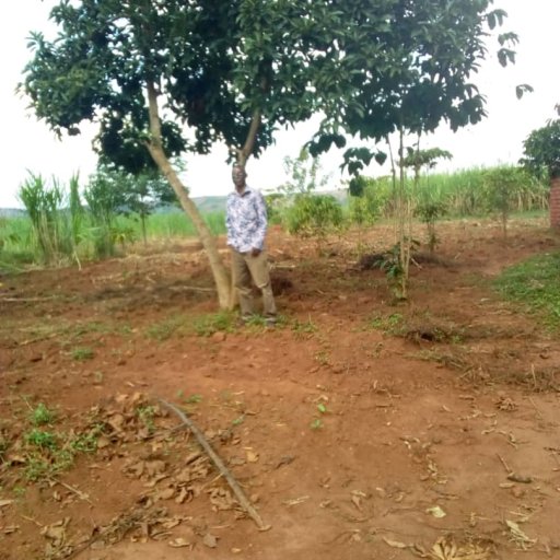 Kamiigo Disabled (13)