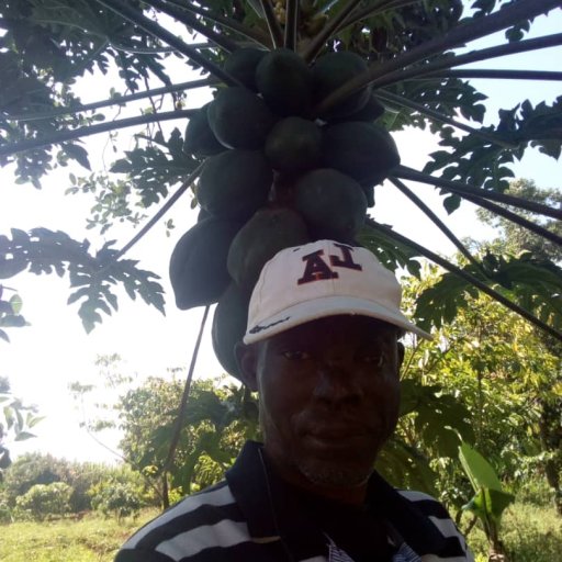 Kamiigo Disabled (15)