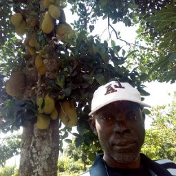 Kamiigo Disabled (16).jpeg