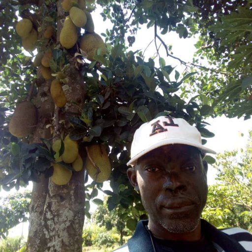 Kamiigo Disabled (16)