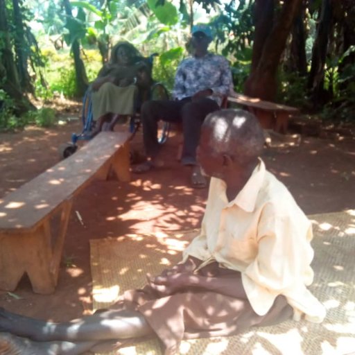 Kamiigo Disabled (18)