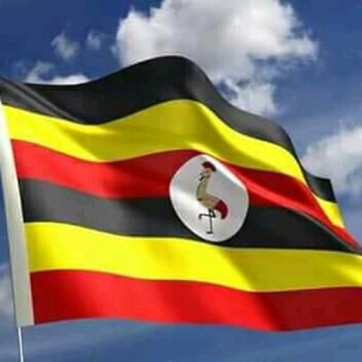 Kamiigo Disabled (22)