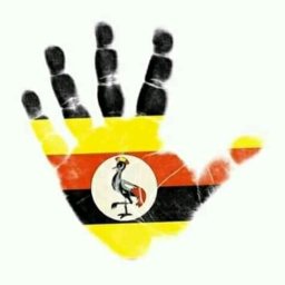 Kamiigo Disabled (23).jpeg