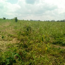 Kamiigo Disabled (26).jpeg