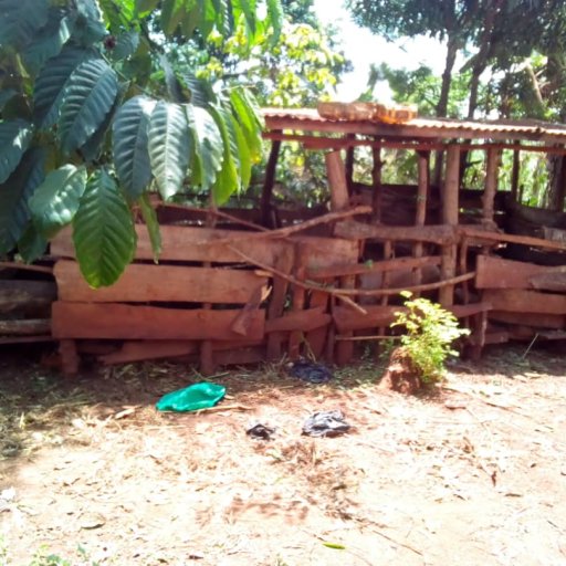 Kamiigo Disabled (29)