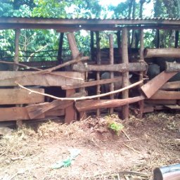 Kamiigo Disabled (32).jpeg