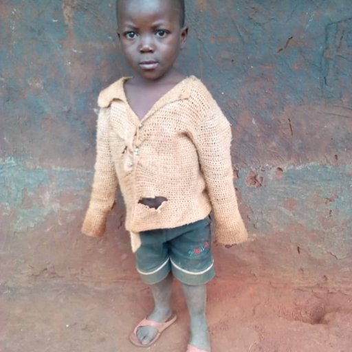 Kamiigo Disabled (36)