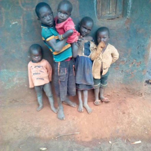 Kamiigo Disabled (37)