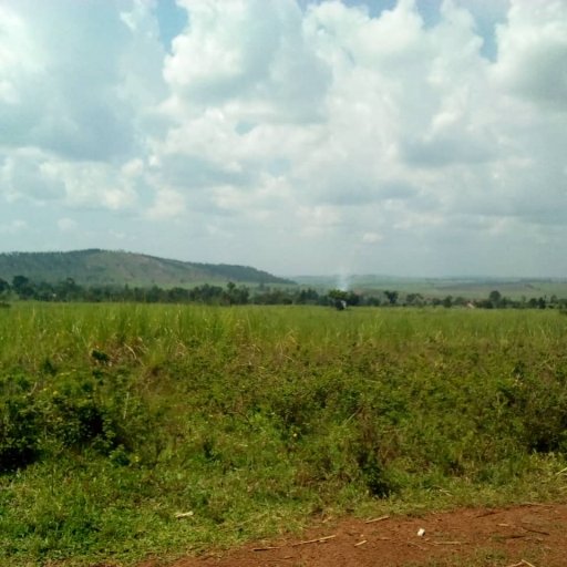 Kamiigo Disabled (43)