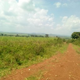 Kamiigo Disabled (44).jpeg