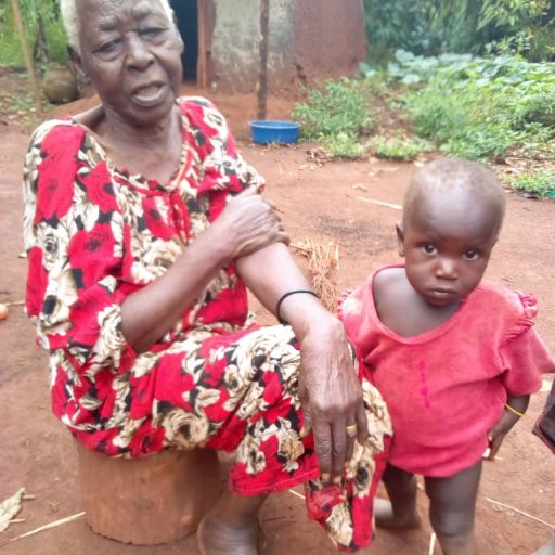 Kamiigo Disabled (46)