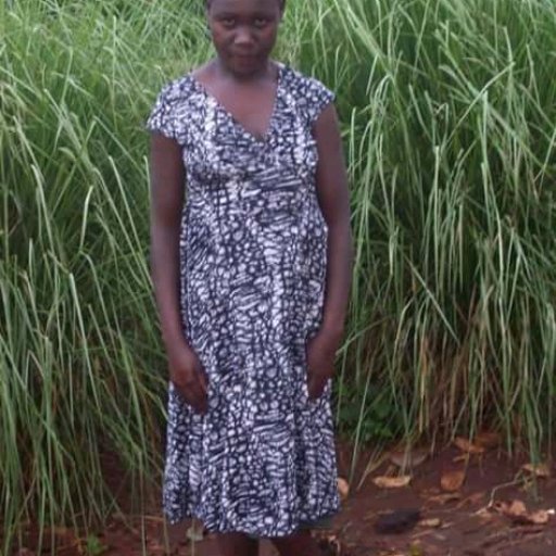 Kamiigo Disabled (48)