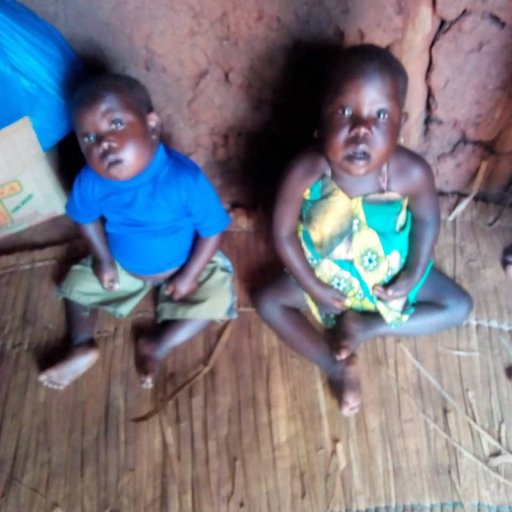 Kamiigo Disabled (56)