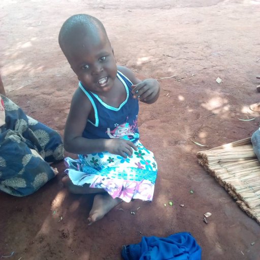 Kamiigo Disabled (60)