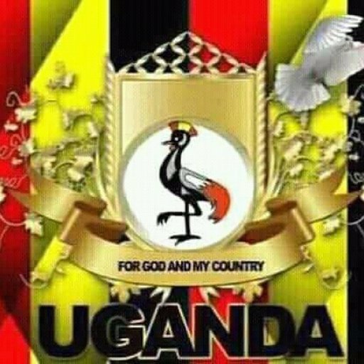 Kamiigo Disabled (69)