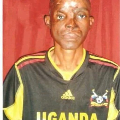 Kamiigo Disabled (70)