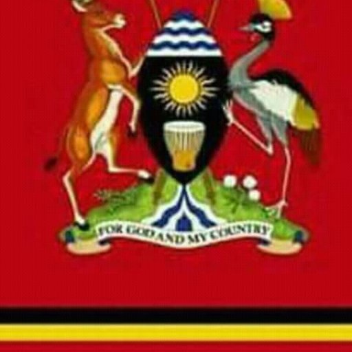 Kamiigo Disabled (75)