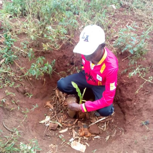 Kamiigo Disabled (77)